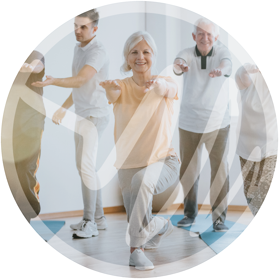 Parkinsons2 » PEMF Recovery Plus